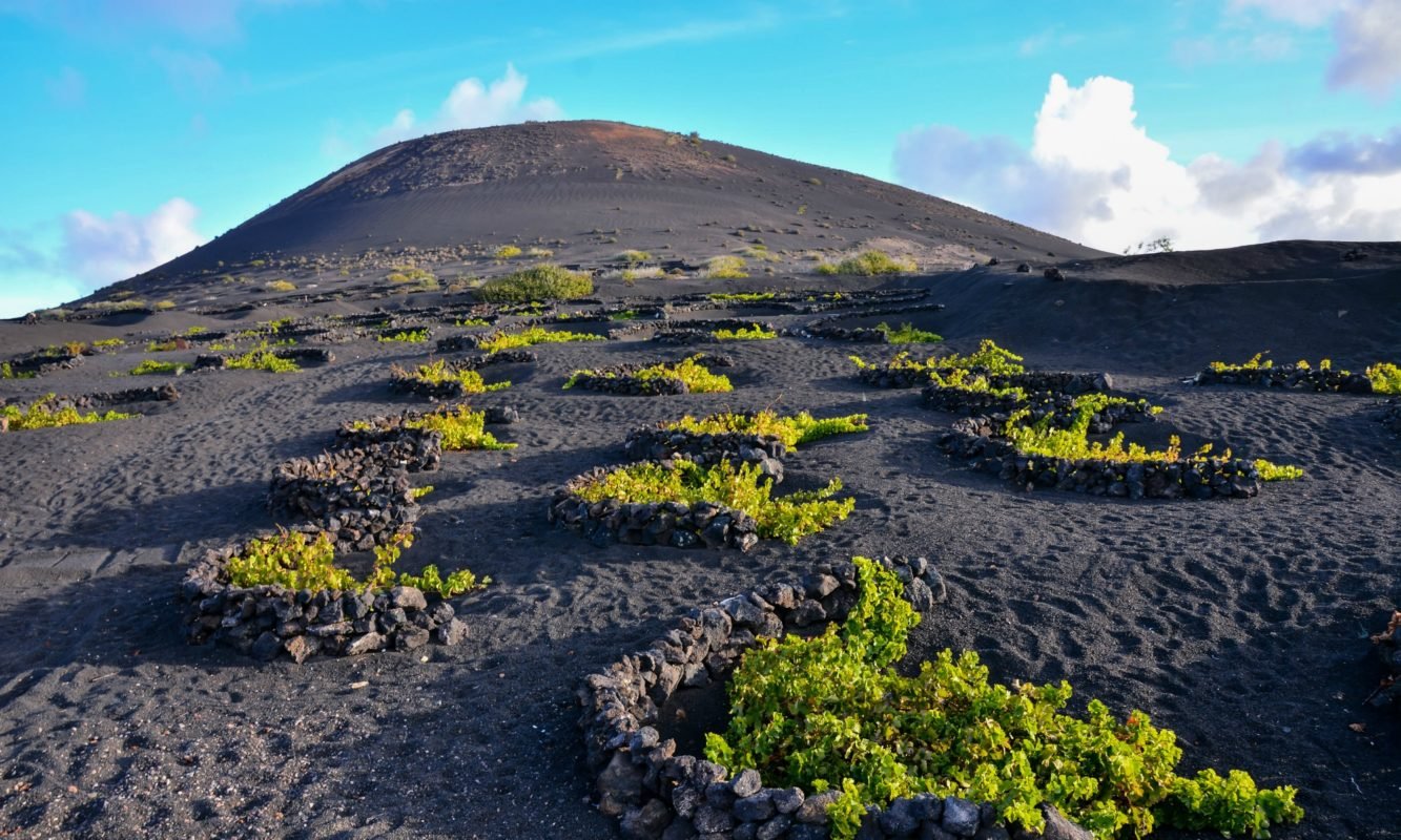 Volcanic wine