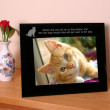 cat frame 1