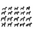 vector dog silhouettes collection isolated on white. dogs breeds names and personality description