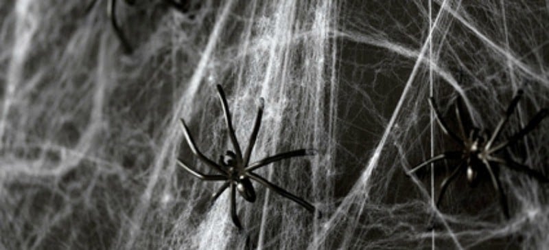 halloween spider web 1
