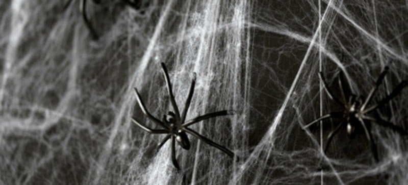 halloween spider web 1 halloween spider web 1
