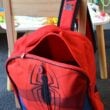 Spidey Bag 5