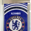 Chelsea Towel 2 copy 1