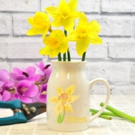 Birth flower March Vase Jug